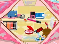 Clean Up My Purse 2 game